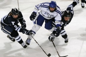 开云体育在线-鹈鹕力克广东队，字母哥在美加墨世界杯接管比赛，篮球世界的多元交响